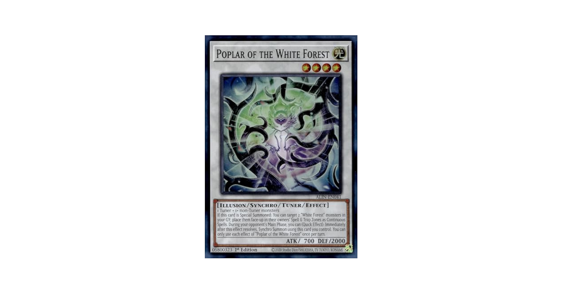 Amazon.com: Poplar of The White Forest - ALIN-EN041 - Super
