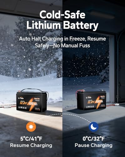Image of Litime 12V 100Ah Group 31 LiFePO4 Battery for RV, Trolling Motors, Marine