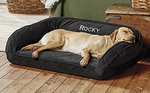 Top 10 Orvis Memory Foam Dog Beds Of 2020 Best Reviews Guide