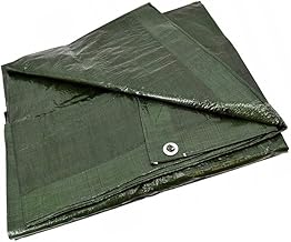 Reinforced Tarpaulin Green 2 x 3 m 90 g