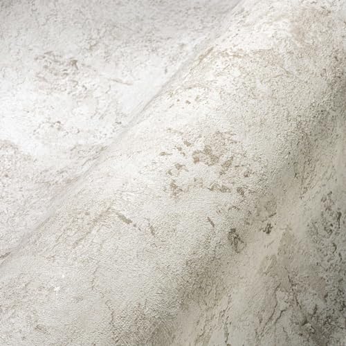 A.S. Création 388231 The Bos - Papel pintado (10,05 x 0,53 m, aspecto de yeso, fabricado en Alemania), color gris claro y beige