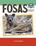  Fosas (On the Trail: Study of Secretive Animals) (English Edition)