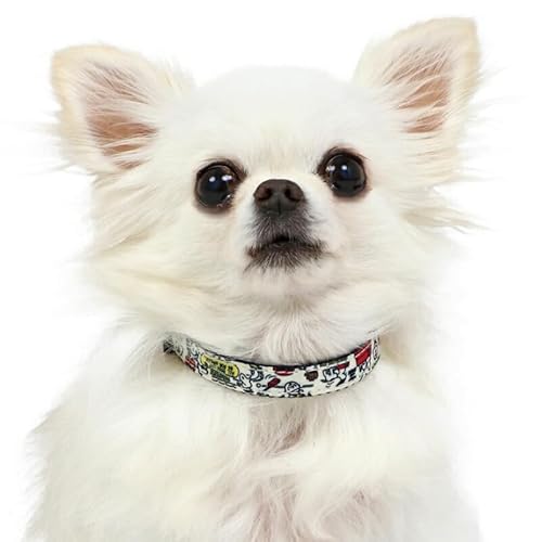 ybgp_CX    Xk[s[ yA S