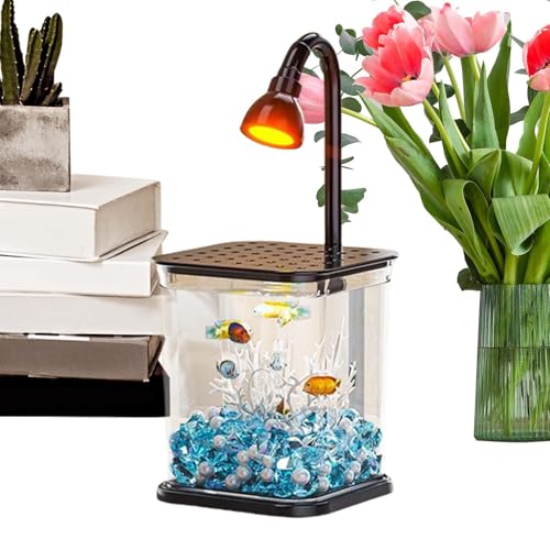 Aquarium pour poisson combattant et mini bassin clair de table