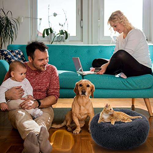 marshmallow cat bed amazon