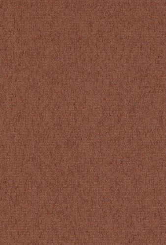 エスケント 色画用紙 ミューズコットン 厚口 八切 すすき 100枚 41080011