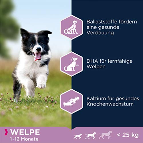 Eukanuba Welpenfutter mit Lamm & Reis für kleine und mittelgroße Rassen - Trockenfutter für Junior Hunde, 2,5 kg