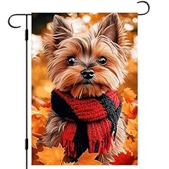 Yorkshire Terrier Dog