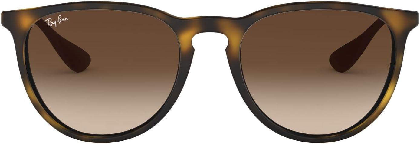 Women's Rb4171 Erika Round Sunglasses
