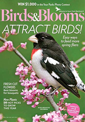 Birds & Blooms