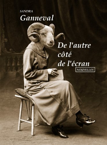 Télécharger De l'autre côté de l'écran: Recueil de nouvelles FANTASTIQUES Francais PDF