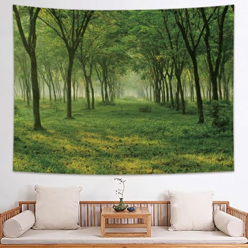 [KMBIGNK] ^yXg[ JGf̐X ڂ Ђ܂ z|X^[  X G ȕǊ| Mtg a Ǌ| 1x0.7 Ǐ gt n ǂ̑ CeA EH[A[g fUC2 Vj @\