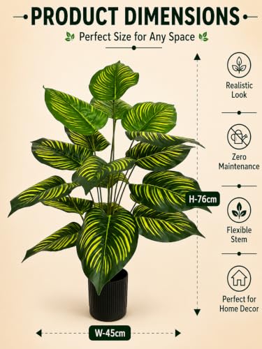 Image of Cocco.BUA Artificial Plant with Black Pot, 18 Leaves, 76 CM (2.5 Feet) (Calathea Plant)