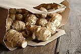 3 Pounds Jerusalem Artichoke Tubers by Yumheart Gardens - Organic Sunchokes - Sunroot (3 LB)
