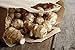 3 Pounds Jerusalem Artichoke Tubers By Yumheart Gardens - Organic Sunchokes - Sunroot (3 LB)
