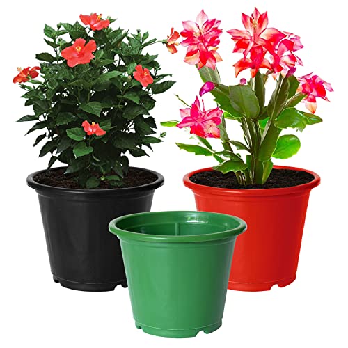 Image of Kuber Industries Durable Plastic Flower Pot|Gamla for Indoor Home Decor & Outdoor Balcony,Garden,6 inchx5 inch,Pack of 3 (Green,Red,Black)