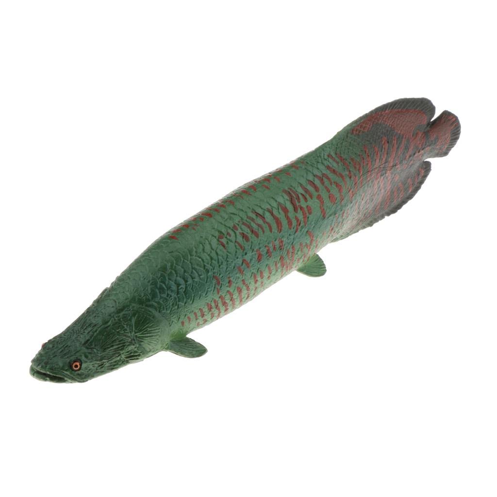 Amazon.co.jp: TinaLexia リアルな静的海洋動物モデル おもちゃ キッズ