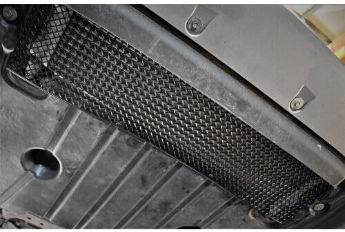 Zunsport Compatible With BMW G87 M2 - Oil Cooler Grille - Black Finish