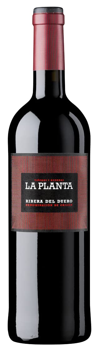 La Planta Vino - Envío Gratis 24H - Estucche 6 Botellas - Bodegas Arzuaga- Ribera del Duero - Vino Regalo - Seleccionado y Enviado por Cosecha Privada
