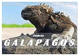 Entdecke Galapagos (Tischkalender 2026 DIN A5 quer), CALVENDO Monatskalender: Die Einzigartigkeit von Galapagos besteht in der Natur: Wilde ... eine eindrückliche Tierwelt. (CALVENDO Orte)