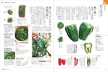 Amazon.co.jp: からだにおいしい 野菜の便利帳 (便利帳シリーズ