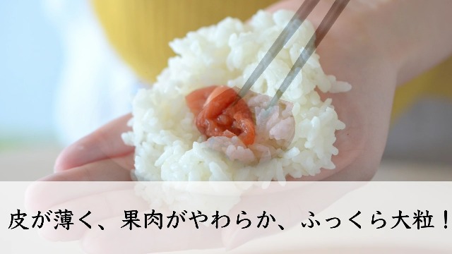 ココナッツ⭐︎しょっぱくて酸っぱい無添加梅干し⭐︎4キロ Amazon | 梅干し 無添加 塩のみ 昔ながら 白干し梅 塩分20