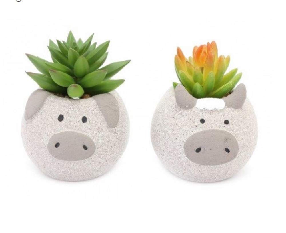 Stc Pig Pot With Artificial Succulent (Cactus) - Cow Or - Novelty Pot (Pig)