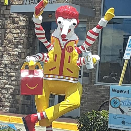 WFYM 334 - Terpina Podcast Por  arte de portada