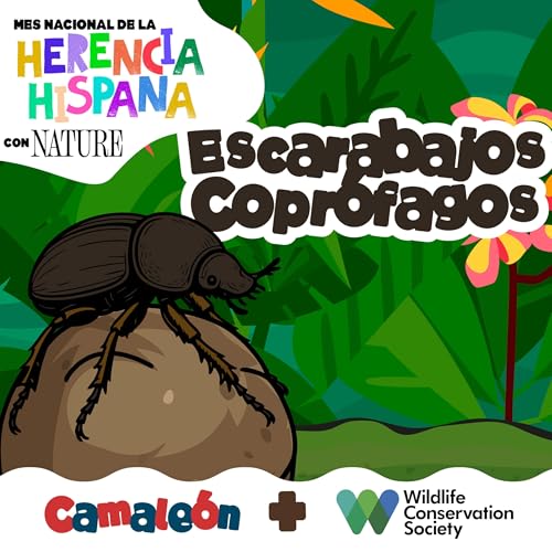 Escarabajo Coprófago: el reciclador del popó