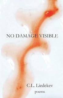 No Damage Visible