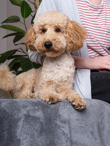 TrendPet Ruby Kuscheldecke und Trocknungsdecke für Hunde und Katzen (90x65cm)