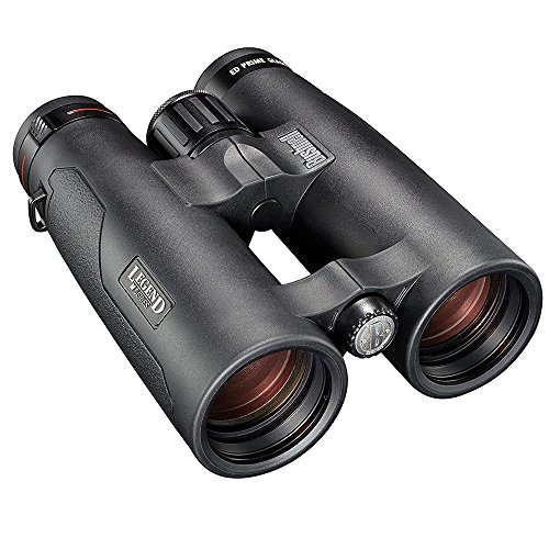 Best Bushnell Elite Ed 10x42 Binocular
