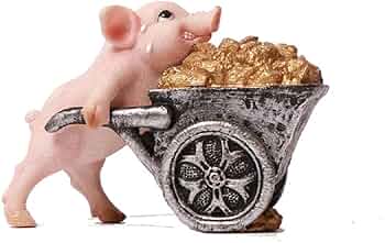 51pzgPaXr8L._AC_UF350,