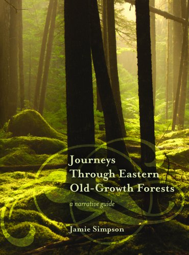 Journeys Through Eastern Old-Growth Forests: A narrative guide (Paperback)