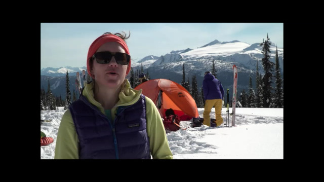 Amazon | エムエスアール(MSR) アウトドア 登山 オールシーズンテント