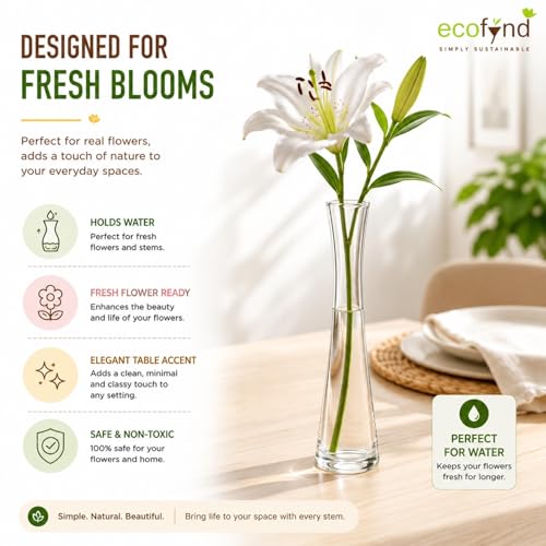 Image of ecofynd Glass Vase for Flowers Plants, Modern Decorative Vase for Home Decor Center Table, Bedroom, Living Room, Office Decoration, Wedding or Gifts, Luster Glass Vase, (GVASE016)