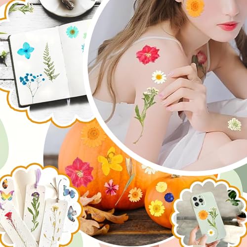205 piezas de flores secas prensadas para artesanía miniatura 2