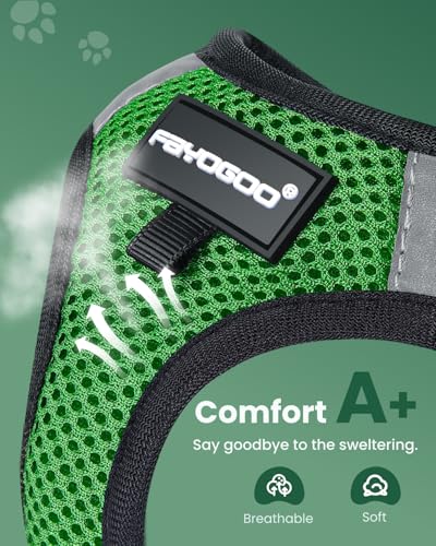 Image of FAYOGOO Cat Harness and Leash Set, Escape-Proof Step-in Vest for Walking