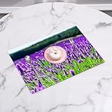 Décor parfait: Ce set table protège non seulement votre table, mais offre également un décor élégant à votre maison.