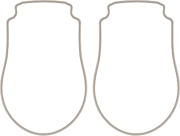 AppliaFit Seal Plate Gasket Compatible with Pentair 357102 for WhisperFlo and IntelliPro In-Ground Pump 2-Pack