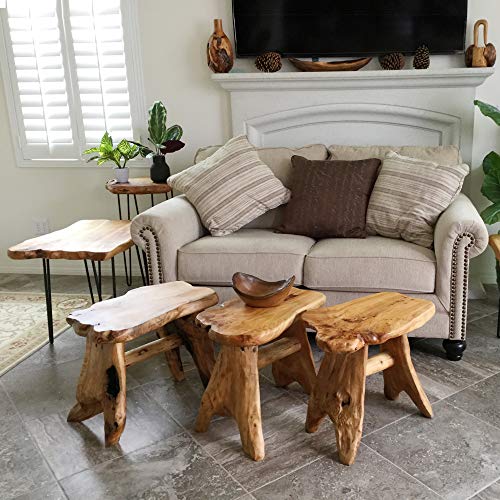 Greenage NEWSMSCD233431UR-1 Cedar Roots Wooden Stool Naturally Shape 10 Inch X 13.5 Inch X 12.2 Inch H Wood Stump Side Table Stand Home Décor End Table thumb #4
