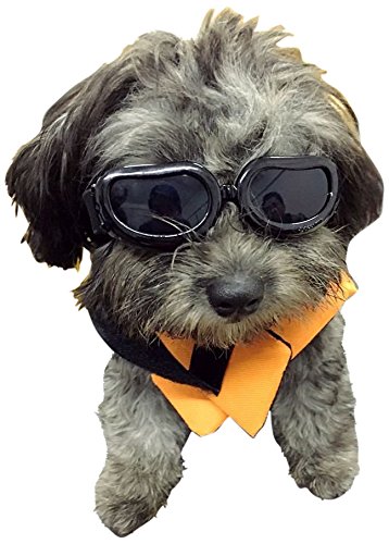 Dog Goggles - Small Dog Sunglasses Waterproof Windproof UV Protection For Doggy Puppy Cat - Black