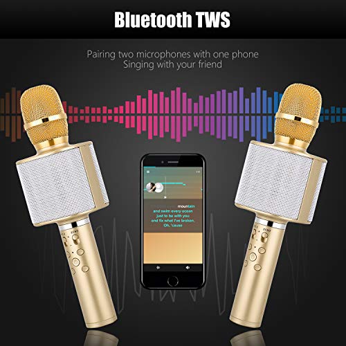 Microfono per Bambini Wireless, Microfoni