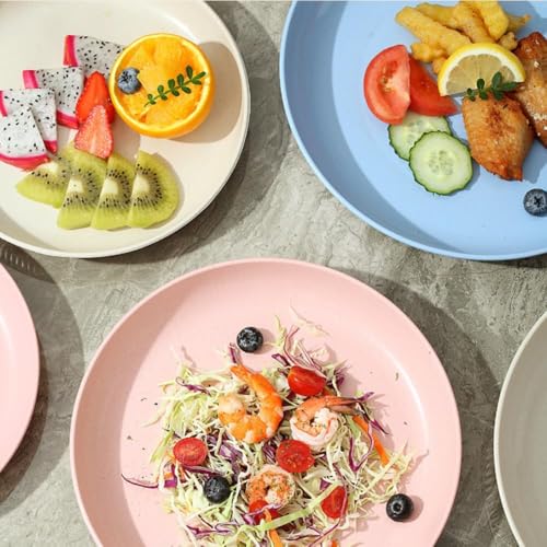 Image of Wheat Straw & Bamboo Fiber Plates Set, Lightweight Dinner Plates, Microwave and Dishwasher Safe, Plates Easy to Clean & Reusable (9 Inches, Blue, Set of 6)
