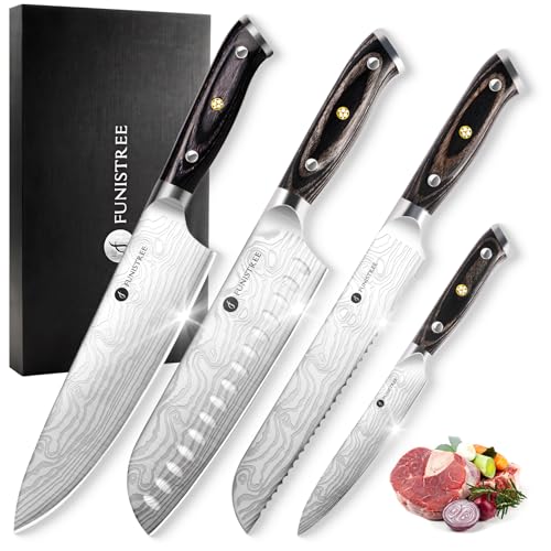 4 Pieces Professional Kitchen Knife Set, Damascus...