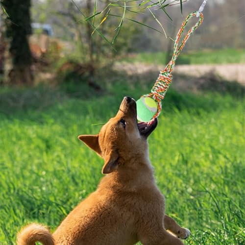 Generico Interaktives Quittio-Spielzeug – Springseil für Hunde, Muskelaufbau | Ziehseil für kleine Hunde im Innen- und Außenbereich