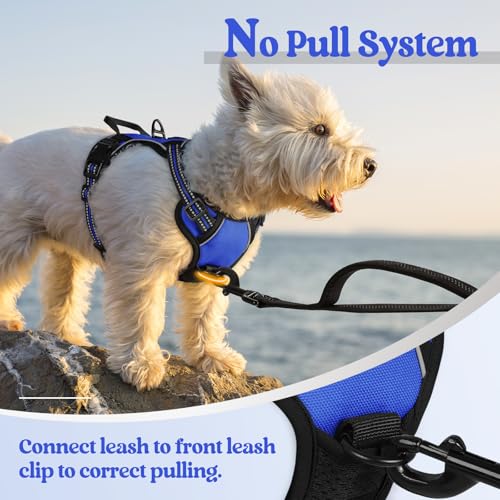 Image of rabbitgoo Dog Harness No Pull with 2 Leash Clips, Adjustable Soft Padded, Reflective Oxford No Choke Pet Vest with Easy Control Handle for Puppy, Dazzling Blue,XS