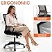 NEO Chair Office Chair Gaming Desk Computer Chair Ergonomic Mesh Mid Back with Wheels Lumbar Support Comfy Swivel Adjustable for Home (All Black)