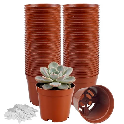 TEYIAN 60pcs 7.5cm Small Plant Pots Plastic Flower Nursery Pots Herb Pot Seed Seedling Pots with Drainage Hole and 100Pcs Plant Labels for Succulent Flowers Cactus All House Plants