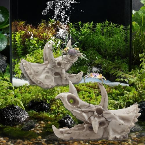 Image of Dinosaur Skull Aquarium Decoration,Fish Tank Decor, 6.7 inchx3.5 inchx4.4 inch | Hideaway for Fish, Natural Look, Fun Underwater Environment
